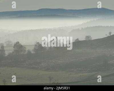 veil of mist as cloud inversion outlines trees in valley below Northern Pennines on still frosty morning of low Winter sunshine - Cumbria,England,UK Stock Photo