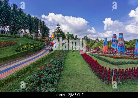 Taman Bunga Celosia Park, Bandungan, Semarang, Indonesia Stock Photo