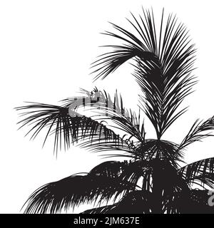 Detailed black silhouettes of palm tree tops, tropical palm leaves illustration. Stock Vector