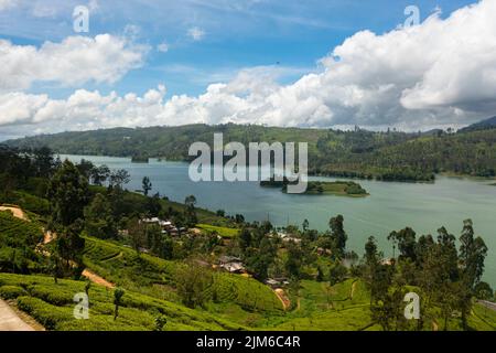 A lake in the mountains surrounded by hills with tea plantations. Maskeliya, Castlereigh, Sri Lanka. Stock Photo