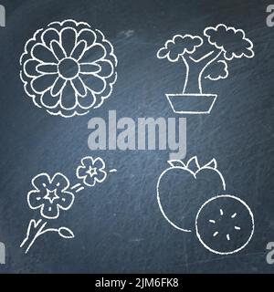 Japan traditional symbols chalkboard icon set. Japanese sakura blossom, bonsai tree, persimmon fruit and chrysanthemum flower. Vector illustration. Stock Vector