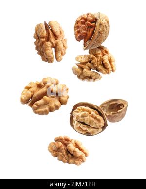 Flying walnuts isolated on white Stock Photo