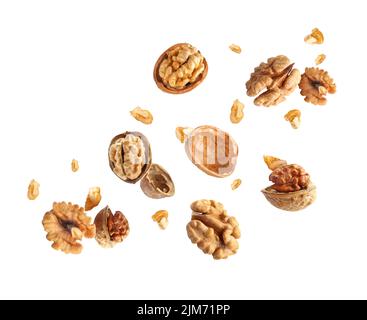 Flying walnuts isolated on white Stock Photo