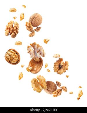 Flying walnuts isolated on white Stock Photo
