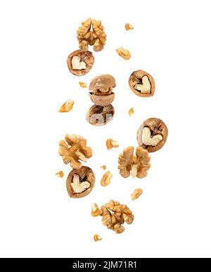 Flying walnuts isolated on white Stock Photo
