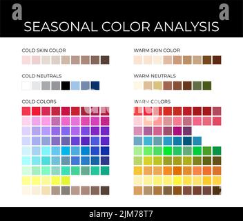 Seasonal Color Analysis Palette with Cold and Warm Color Swatches, Neutrals, Skin Shades Stock Vector