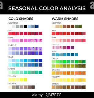 Seasonal Color Analysis Color Palette with Cold and Warm Shades, Neutrals, Red, Pink, Purple, Blue, Green, Orange, Yellow and Brown Color Swatches Stock Vector
