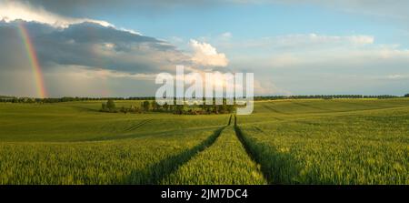 Fields and rainbow in the sky Stock Photo