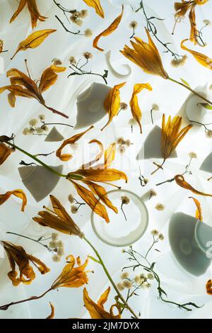 Coffee cups shards with yellow flowers, floral composition with delicate chiffon drapery Stock Photo