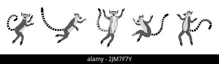 Cute funny ring-tailed lemurs jumps. Exotic Lemur catta. Set of vector illustrations in cartoon and flat style Stock Vector