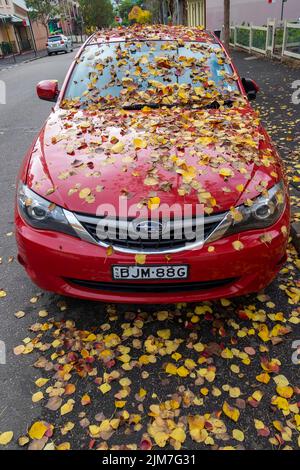 A red car covered in falling autumn leaves in a Sydney back street Stock Photo