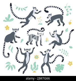 Cute funny ring-tailed lemurs and tropical plants. Exotic Lemur catta. Set of vector illustrations in cartoon and flat style Stock Vector