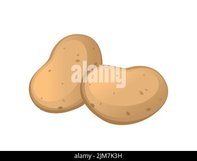 Fresh raw unpeeled potatoes vector illustration isolated on white background Stock Vector