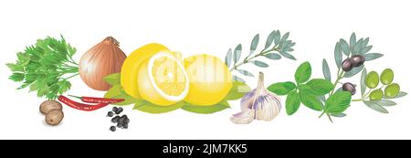 Spices and herbs isolated illustration Stock Vector