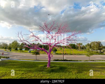 A tree that is painted pink in Lake Nona area, south of Orlando, Florida. Bird flying over tree as picture was taken. April 28,2022 Stock Photo