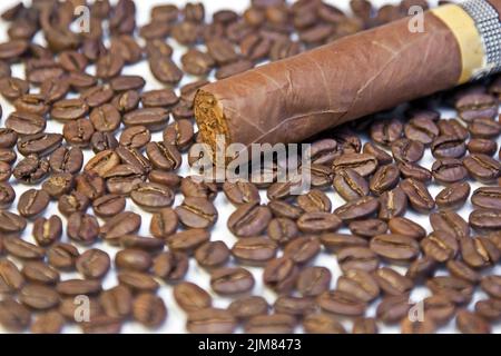 Cuban cigar on coffee beans background Stock Photo