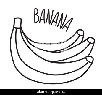 Banana hand drawn with thin line isolated on white background Stock Vector