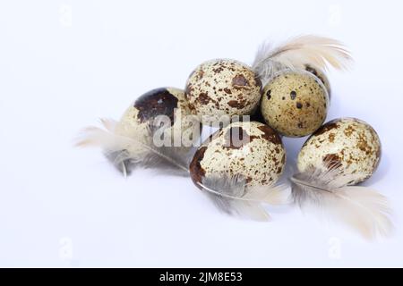 quail eggs on the white background with copy space Stock Photo