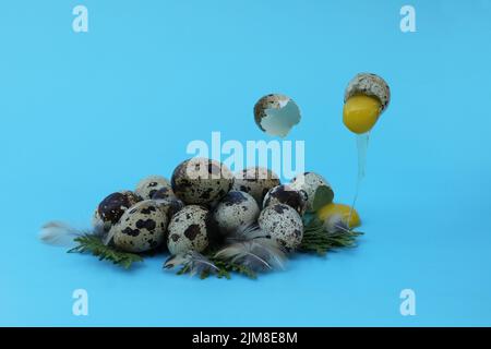 quail eggs on the blue background with copy space Stock Photo