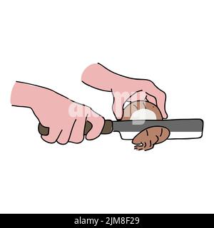 Cutting vegetable vector clip art Stock Vector