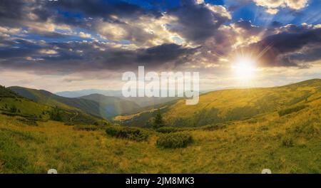 panoramic view in to valley. stunning landscape of carpathian mountains at sunset in summer. forested hills and grassy meadows beneath a bright blue s Stock Photo