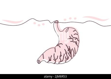 Stomach Hand drawn icon continuous line drawing and pink flat silhouette. Human organs. Medicine trendy concept One single line design. Outline simple Stock Vector