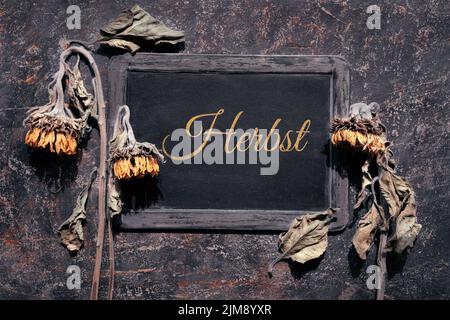 Dry sunflower flowers on dark textured grunge background. Floral autumn fall banner with copy-space Stock Photo
