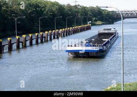 Gelsenkirchen, Deutschland. 03rd Aug, 2022. The cargo ship Willi Raab loaded with coal heads for the southern lock chamber, lock group Gelsenkirchen on the Rhine-Herne Canal, RHK, in Gelsenkirchen, August 3rd, 2022, © Credit: dpa/Alamy Live News Stock Photo