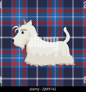 Cute white scottish terrier on tartan background. Stock Vector