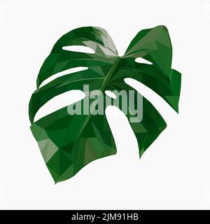 isolated icon with monstera leaf. Low poly style.  Stock Vector