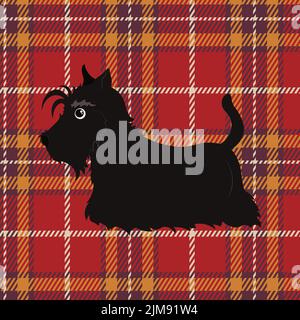 Cute black scottish terrier on tartan background. Stock Vector