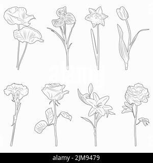 Set of black sketches of isolated flowers.  Stock Vector
