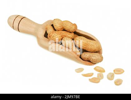 Pile of dry roasted peanuts in scoop isolated on white background. Stock Photo