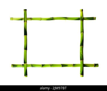 Green Bamboo with White Empty Wooden Board Background Stock Photo - Alamy