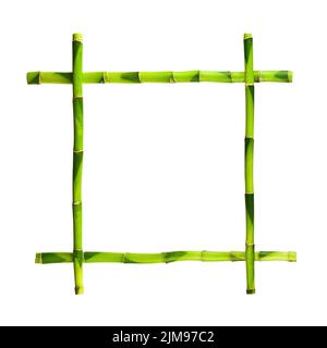 Green Bamboo Frame Isolated on White Background. Stock Photo