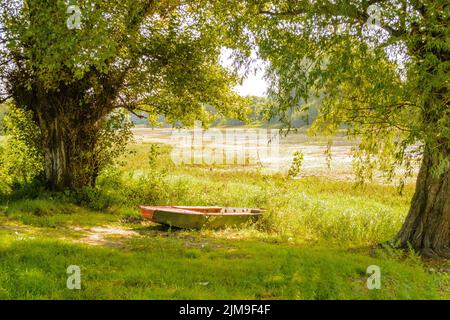 Wooden boats in the shade of a Poplar tree on the shore of the lake. Stock Photo