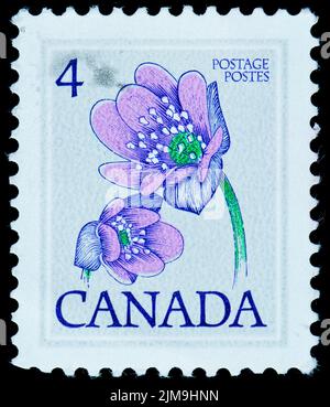 Canadian postage stamp on the black background Stock Photo