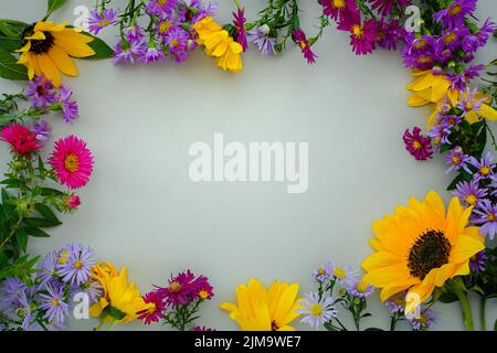 Autumn floral flat lay. Small multicolored asters on a gray pastel background top view. Beautiful design frame. Copy space, creative floral background Stock Photo