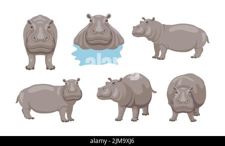 Hippo doing different activities cartoon illustration set. African animal sitting, swimming in lake or river and standing on white background. Zoo, wi Stock Vector