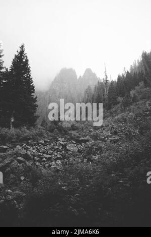 A vertical grayscale shot of rocky mountains covered with trees - natural scenery great for backgrounds Stock Photo