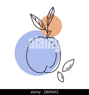 Outline vector illustration of a plum with pits, abstract color in the form of a spots. Stock Vector