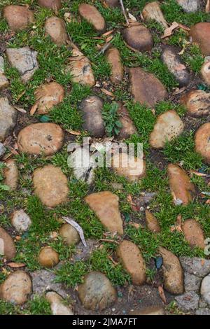 Cobblestones with moss and grass Stock Photo