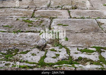 Background of old gray concrete slabs Stock Photo