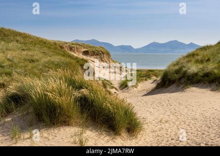 The sand dunes of Newborough Warren with the Snowdonia Mountains across the Menai Strait, Isle of Anglesey, North Wales Stock Photo