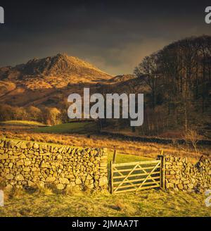 Harter Fell seen from the Eskdale valley in the Lake District at sunset. Stock Photo
