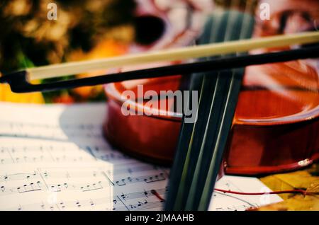 Close up violin and notes on ground with yellow autumn leaves. Stock Photo