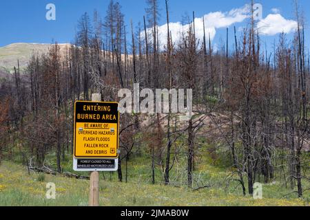 Grand County, Colorado - The aftermath of the East Troublesome Fire. The fire was one of the largest in Colorado's history, burning nearly 200,000 acr Stock Photo