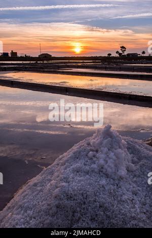 Extraction of sea salt in  Aveiro, Portugal. Stock Photo