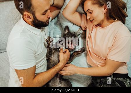 Happy Couple Man and Woman Laying on the Bed with Their Dog, Funny French Bulldog Having Fun with Humans Stock Photo