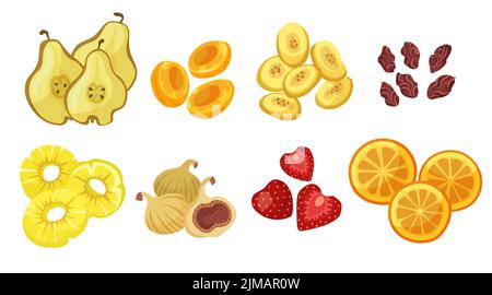 Various dried fruits cartoon illustration set. Dried fig, apricot, pear, pineapple, apple, orange, strawberry, raisin and prune isolated on white back Stock Vector